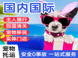 张家界航空货运国际宠物托运 【国